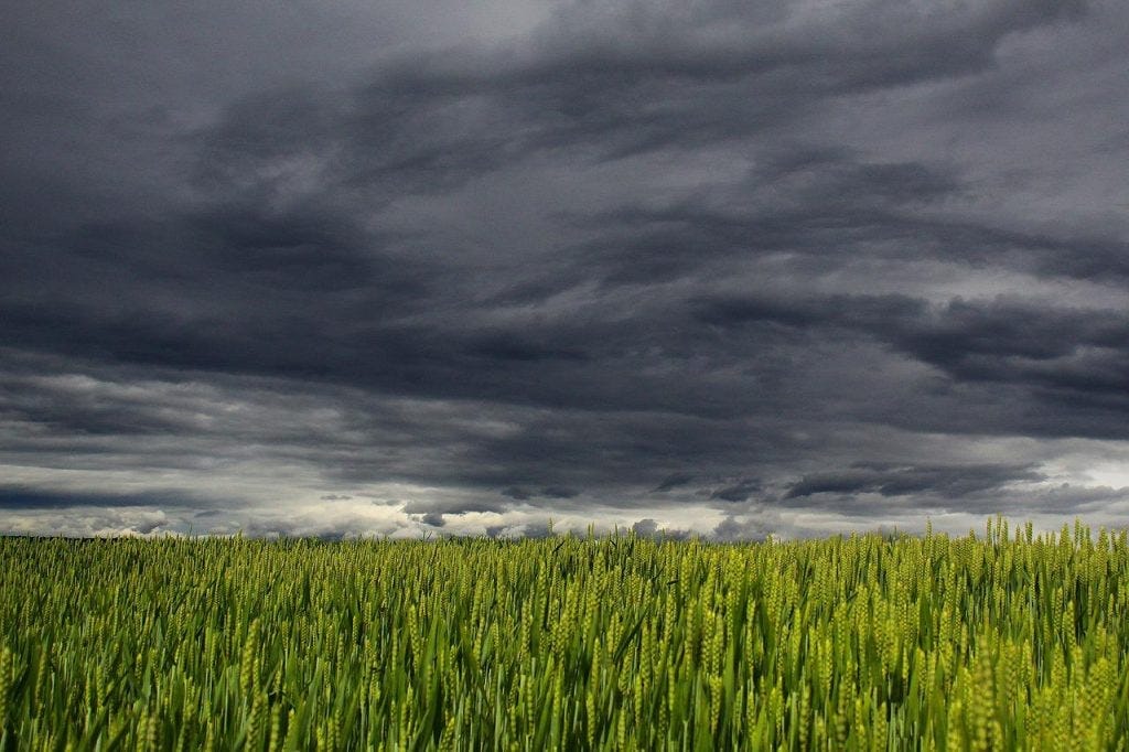 Empty Storm Clouds